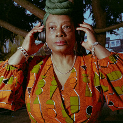Marcia Carr exclusive Wild Wood Mix 2025