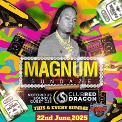 NOTORIOUS INT SOUND "DJ MAGNUM🇬🇾/SEENUP🌏" @MAGNUM SUNDAZE "CLUB RED🚩 DRGAON🐲 22NDJUNE,2025.mp3