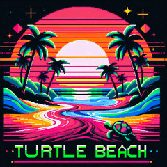 TURTLE BEACH