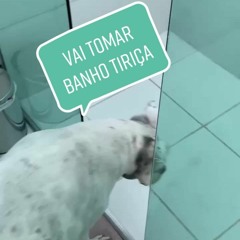 VAI TOMA BANHO TIRIÇA 2 - MC JORGINHO PDR - DJ's Jackson Alves, Guilherme Mdf & Kaique) 2021