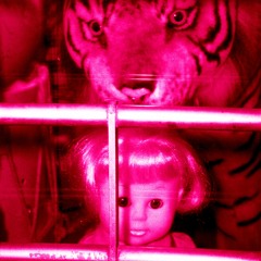 Glitzernde Überreste //2019