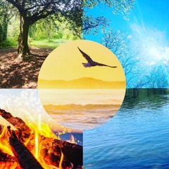 ELEMENTAL JOURNEY with Facilitation