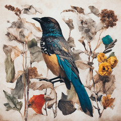 Rafa Vandas - Sexy Funky (Original Mix)