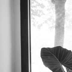 Mouth and Bass Fishing