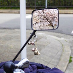spring breeze