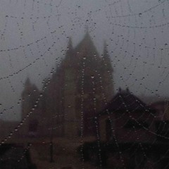 spiderwebs