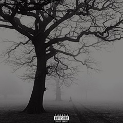 cycles & shallow graves (prod. Taurs x 5head)