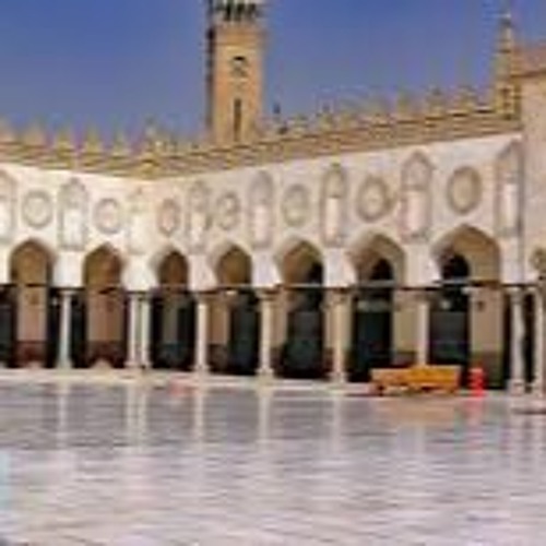 الهشاشة النفسية والدين (الشيخ علاء عبد الحميد)
