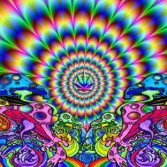 Peyote Theatre