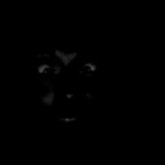 soarin (zestro + burny)