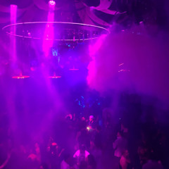MIAMI MADNESS