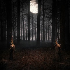 Another Evening Alone