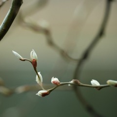 찐사랑