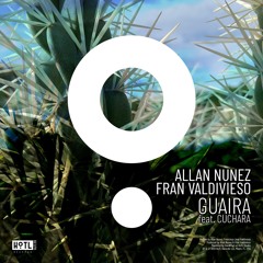 Guaira - Allan Nunez, Fran Valdivieso feat. Cuchara (TEASER) [HoTL RECORDS]