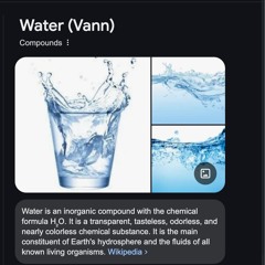 vann