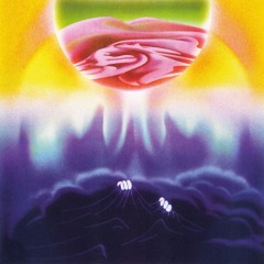 nit - Acid Arizona