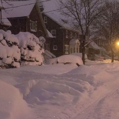 Soft winter