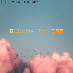 The Winter Mob | Codename: VIBE (prod. PalazeBeats)
