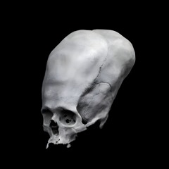 PREMIERE - THEGOD01 - Meketaten (HGD24)