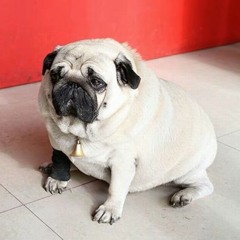 5opka- 42 (hardstyle remix)