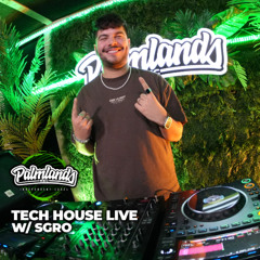 SGRO - Tech House Live on PALMLANDS 22.01.2025