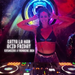 Nowhere 2024 | Acid Friday @ Kosmozoo