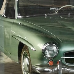 Grenzenlose Freiheit