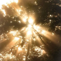 линхил - трип (прод.vieronny)