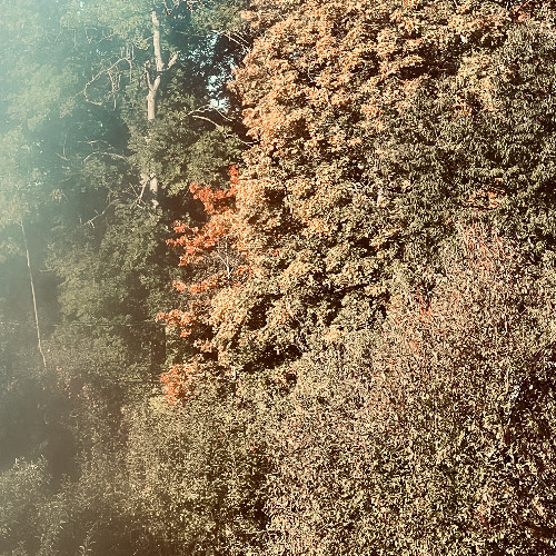 Mist