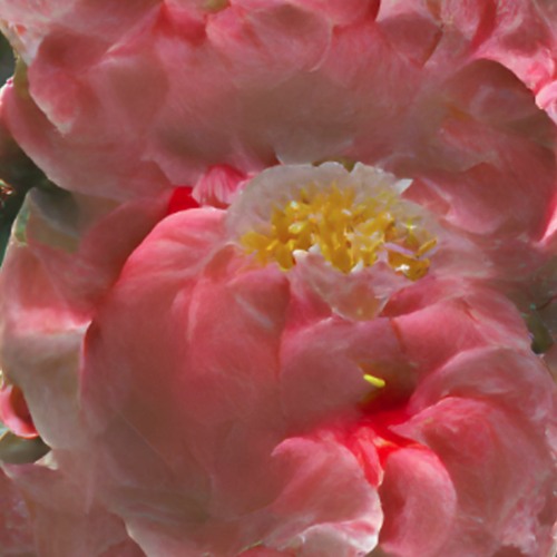 camellia (remix) w/ Dylan Longworth