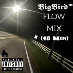 BigBirdFlowMix