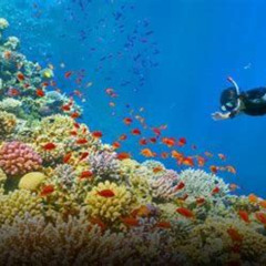 Review Special Price Full Day Snorkeling Beach And Island Hopping Excursiontour