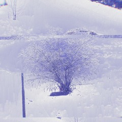 digital snowscape