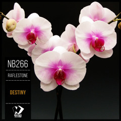 RafleSTone - Destiny (Progressive Mix)