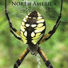Access KINDLE 🎯 Spiders of North America (Princeton Field Guides, 126) by  Sarah Ros