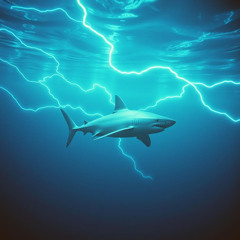 Bite the Tide