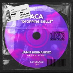 ACA - Dropping Bells (Jamie Hernandez Organ Remix)