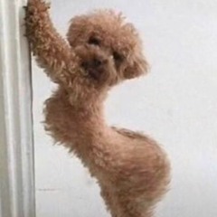 FICA DE 4-  DJ ERICK CASTRO -DJ RX - MC SAMY - MC KALZIN