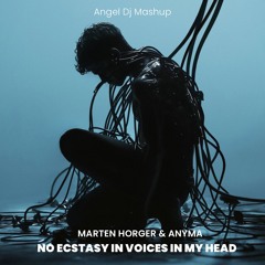 Marten Horger & Anyma - No Ecstasy in Voices in my head (Angel Dj Mashup) DOWNLOAD