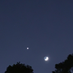 ScutiStar X YSN DINERO - Dreamers [Prod. LORD CASSO]