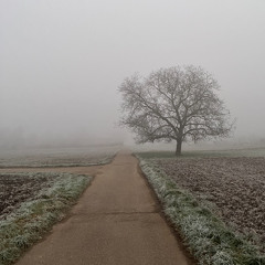 Winter Pack w 1fourr, irony, kxxine, djivan