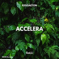 Acelera (GaLLi Reggaeton Edit)
