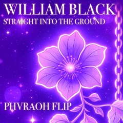 William Black - Straight Into The Ground (PHVRAOH Flip)