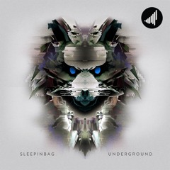 sleepinbag - bringing the noise
