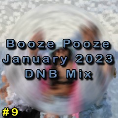 Booze Pooze #9 - January 2023 - DNB Mix