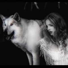 Lana Del Rey - Chemtrails Over The Country Club ( The Hofners Remix )