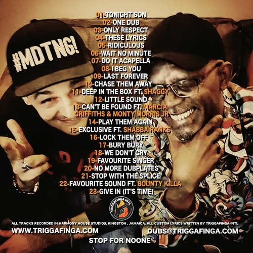 TRIGGAFINGA INTL - STORIES, HARMONIES AND EXCLUSIVE LYRICS (1 HOUR OF BERES HAMMOND DUBPLATES)