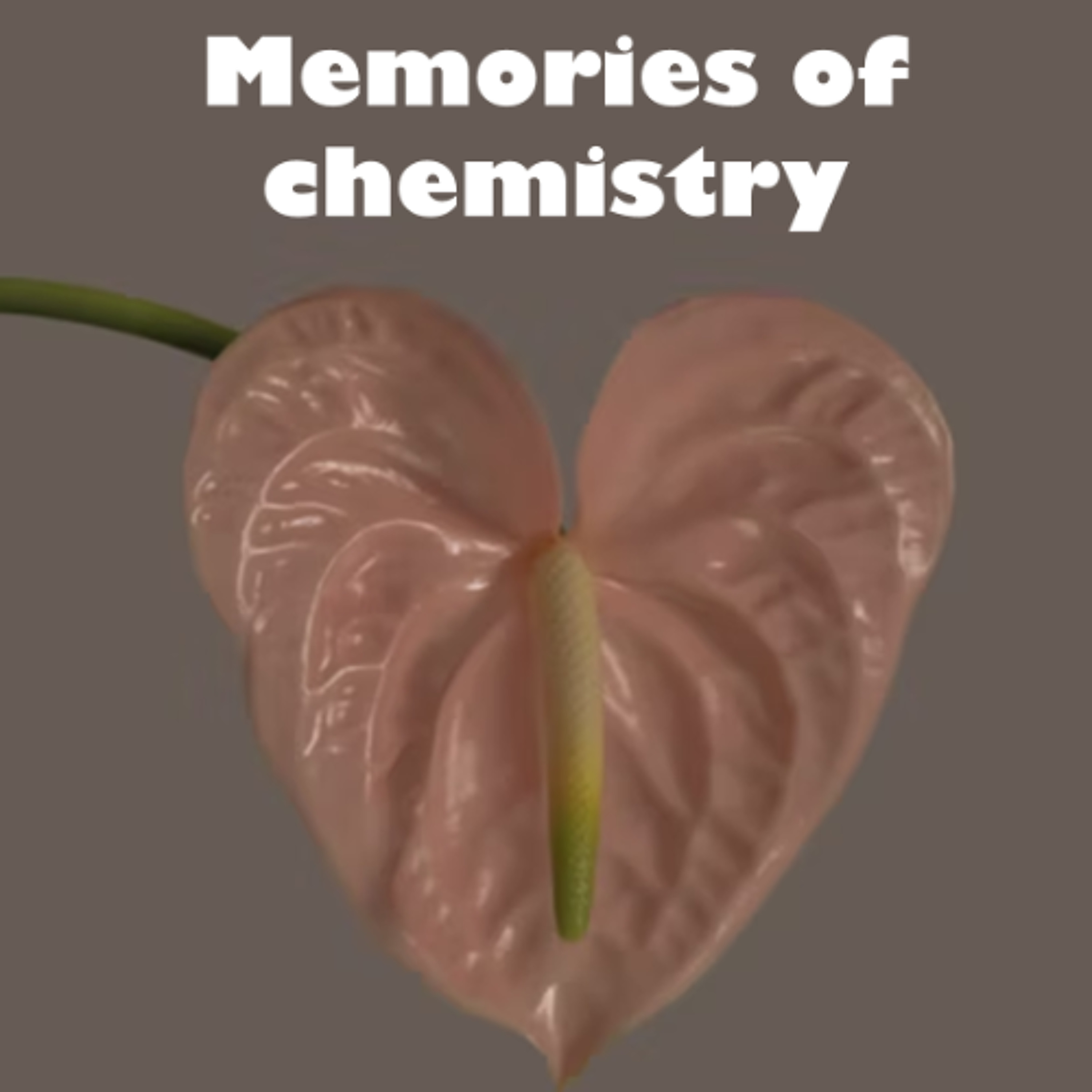 Memories of Chemistry - Jillian, Manveer, Jasmine, Sofia and Miranda - St Brigid's School episode artwork