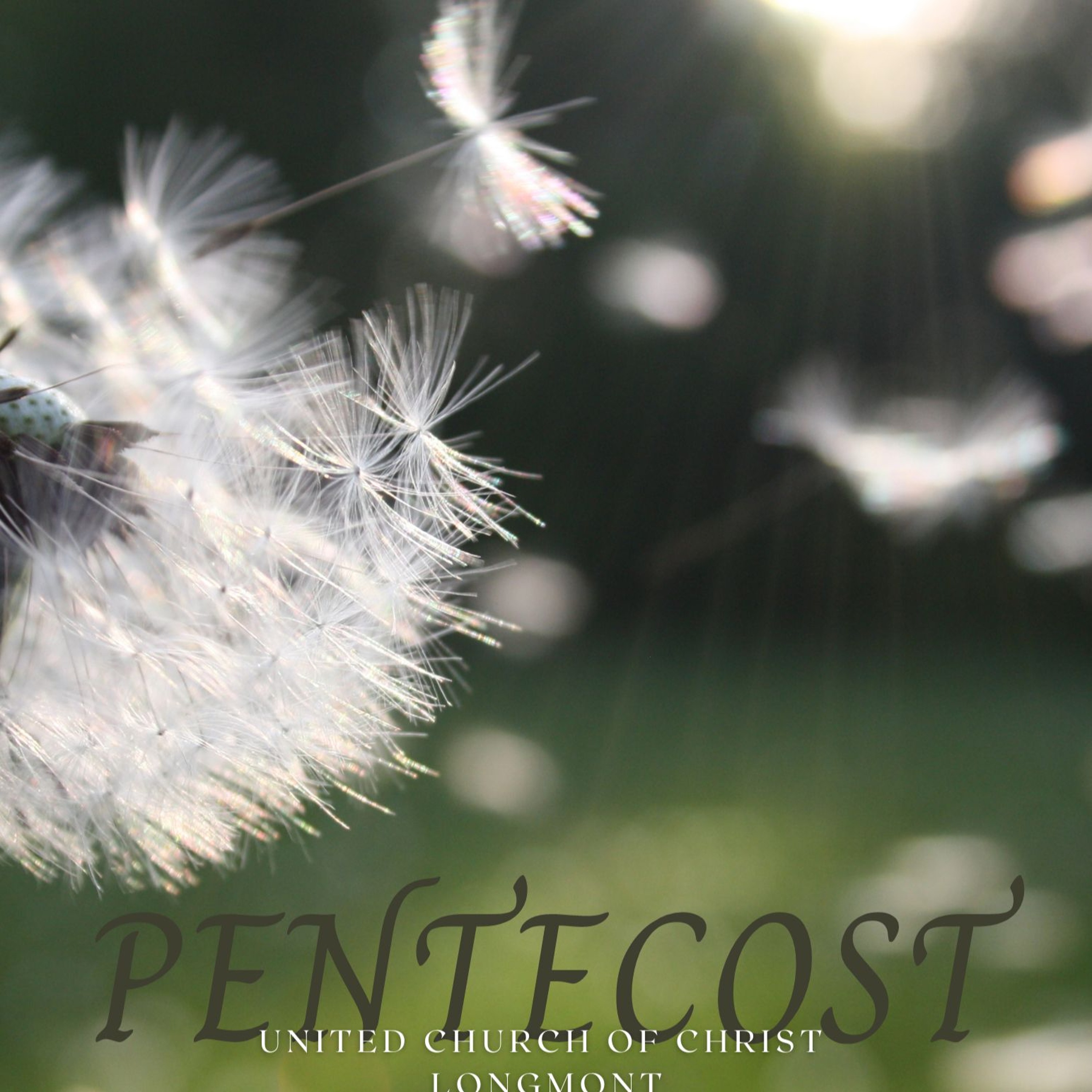 UCC Longmont Sermons