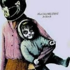 Chameleons - In Shreds